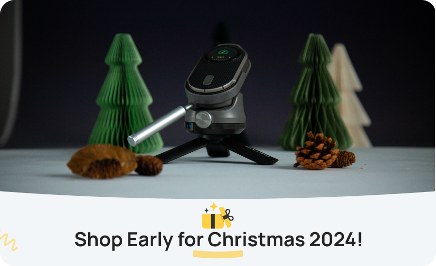 Recommended Order Dates for HOZO Christmas 2024!